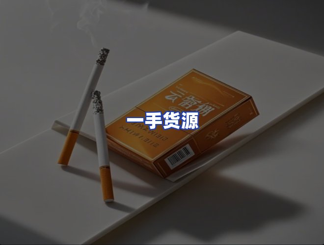 专业团队